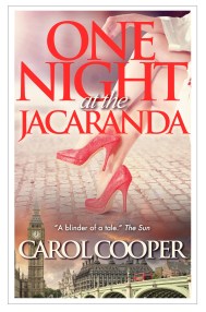 One Night at the Jacaranda_eBook_Oct_2014_framed