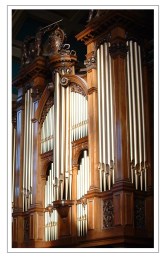 organ