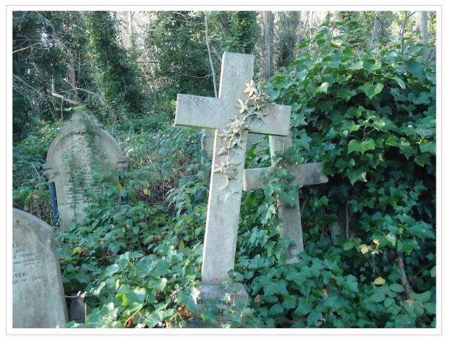 ivy on crosses