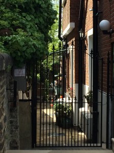 in the electoral garden