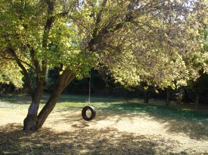 tyre swing