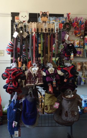 leads, harnesses and restraints