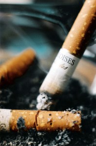 FreeImages.com/Adri Claassens