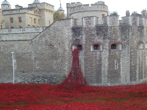 Tower of London, field of poppies