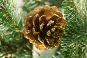 FreeImages.com/Ali Taylor