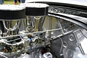 FreeImages.com/bugdog