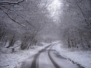 FreeImages.com/Margot H